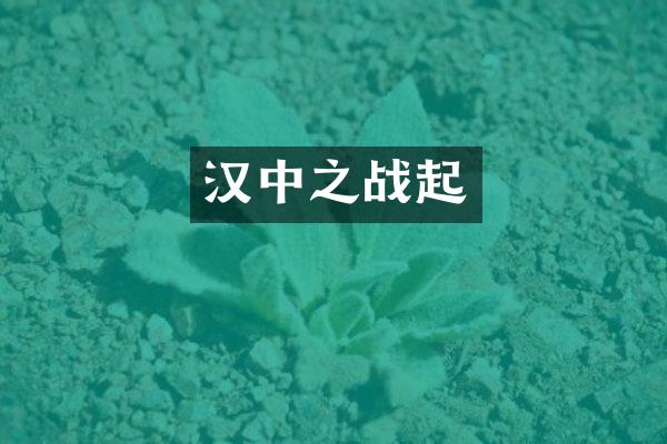 汉中之战起