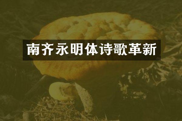 南齐永明体诗歌革新