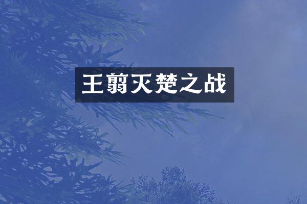 王翦灭楚之战