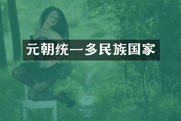 元朝统一多民族国家