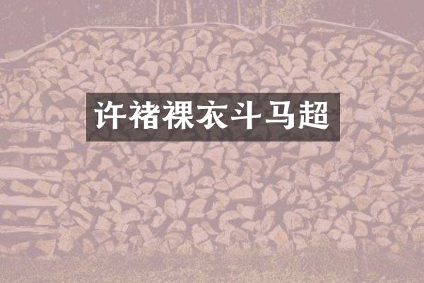 许褚裸衣斗马超