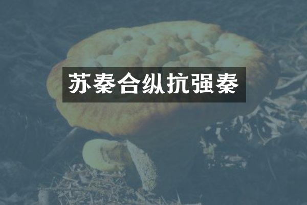 苏秦合纵抗强秦