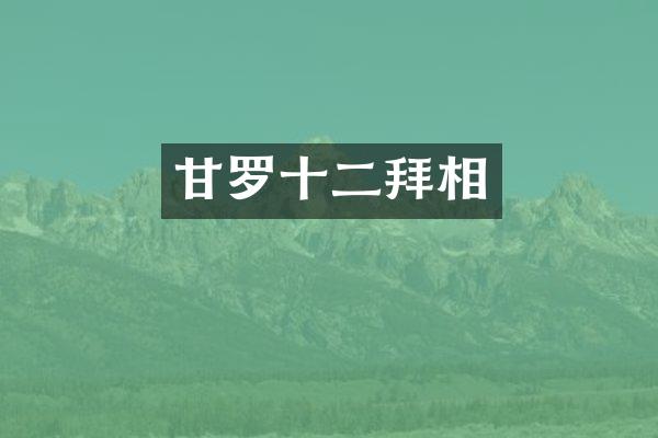 甘罗十二拜相