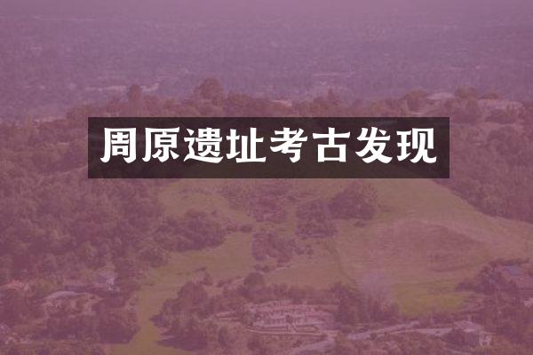 周原遗址考古发现