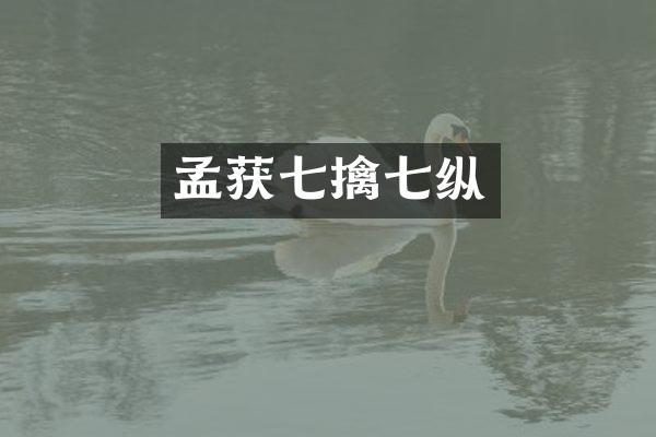 孟获七擒七纵