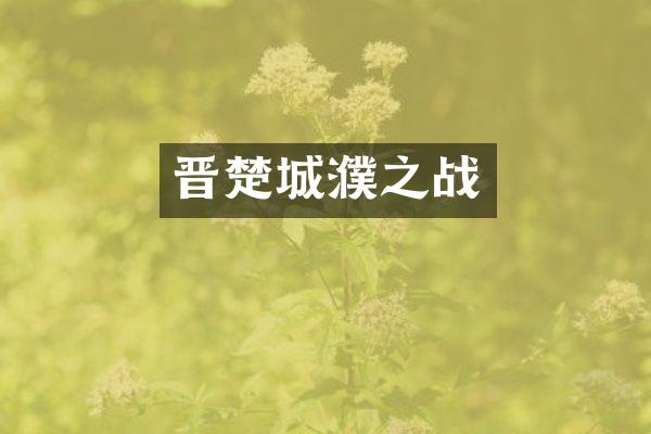 晋楚城濮之战