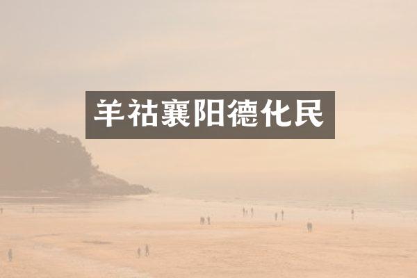 羊祜襄阳德化民