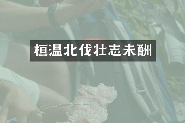 桓温北伐壮志未酬