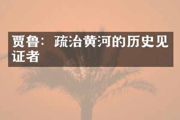 贾鲁：疏治黄河的历史见证者