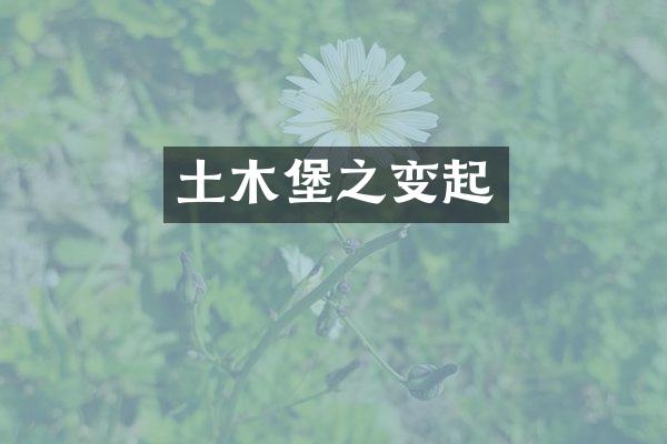 土木堡之变起