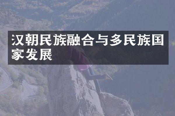 汉朝民族融合与多民族国家发展