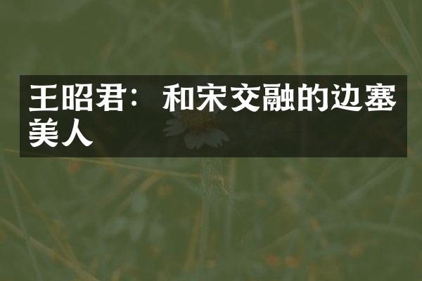 王昭君：和宋交融的边塞美人