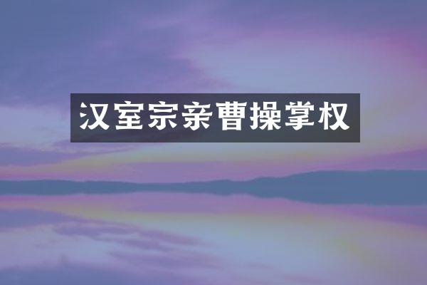 汉室宗亲曹操掌权