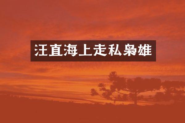 汪直海上枭雄