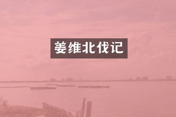 姜维北伐记