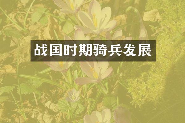 战国时期骑兵发展