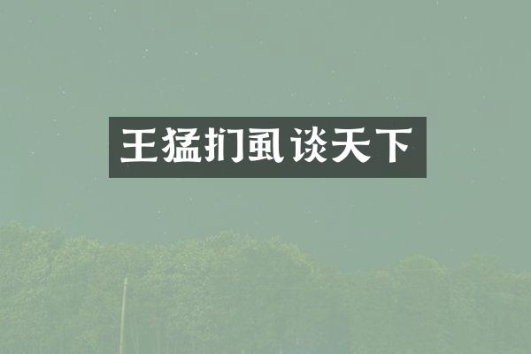 王猛扪虱谈天下