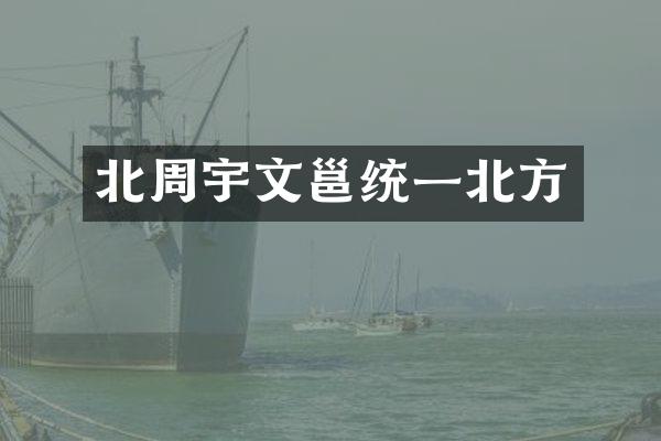 北周宇文邕统一北方
