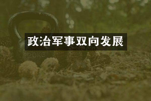 政治军事双向发展