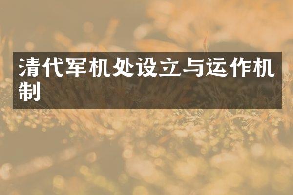 清代军机处设立与运作机制