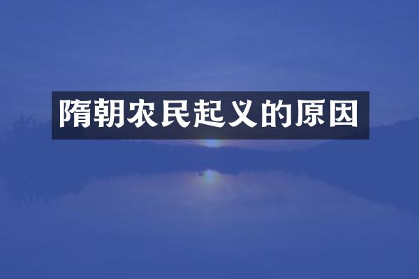 隋朝农民起义的原因