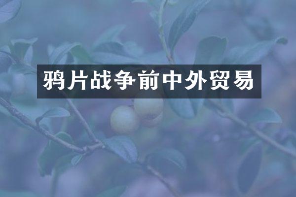 战争前中外贸易