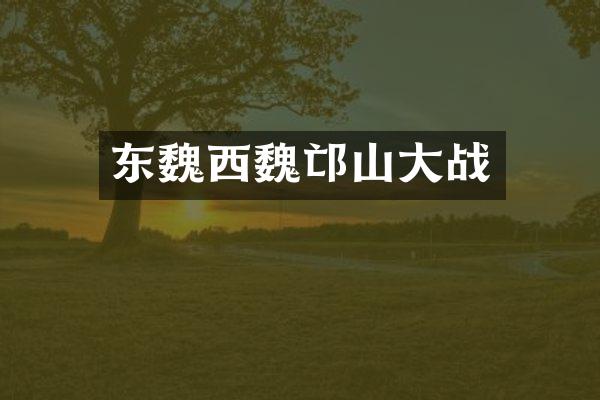 东魏西魏邙山大战
