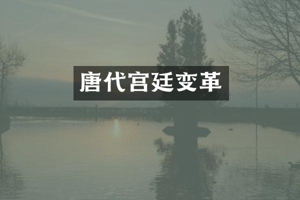 唐代宫廷变革