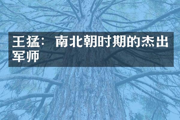 王猛：南北朝时期的杰出军师
