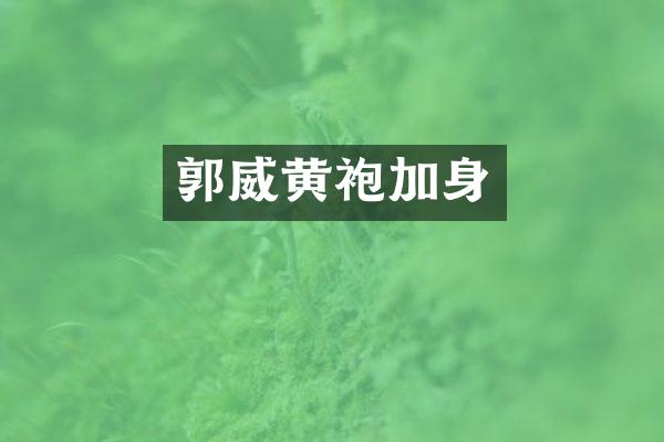 郭威黄袍加身