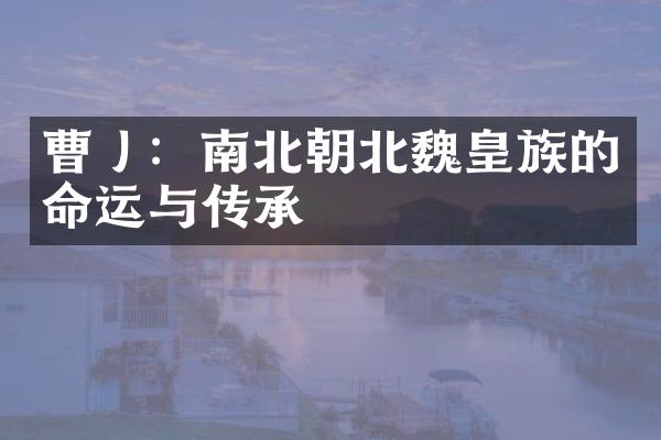 曹丿：南北朝北魏皇族的命运与传承