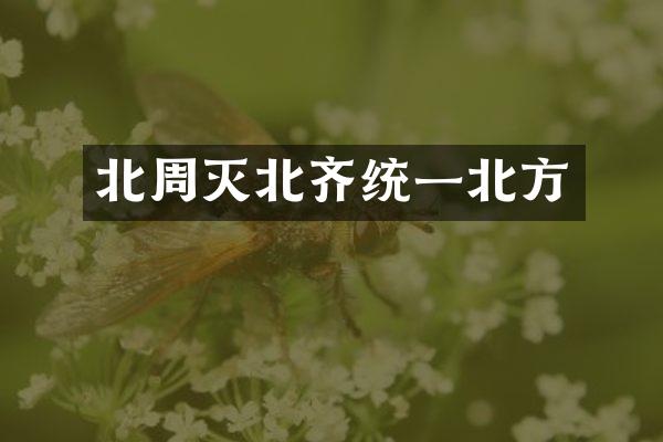 北周灭北齐统一北方