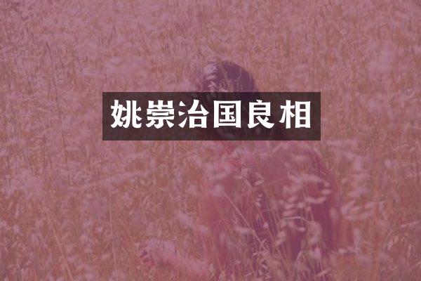 姚崇治国良相