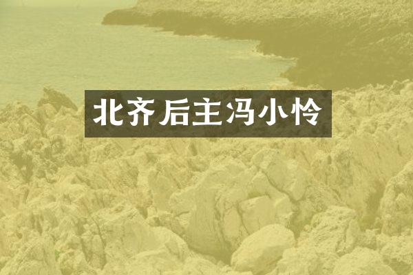 北齐后主冯小怜