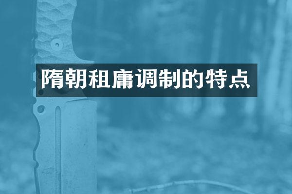 隋朝租庸调制的特点