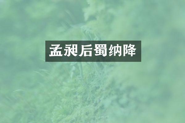 孟昶后蜀纳降