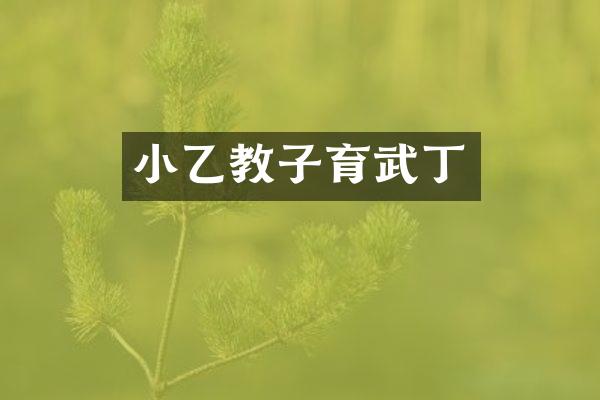 小乙教子育武丁