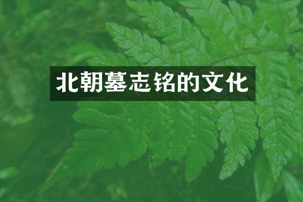 北朝墓志铭的文化