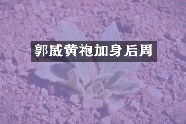 郭威黄袍加身后周