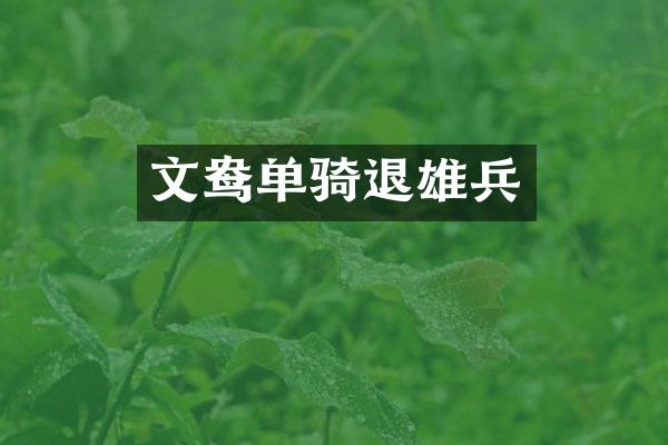 文鸯单骑退雄兵