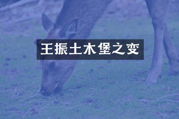 王振土木堡之变