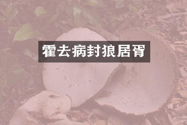 霍去病封狼居胥