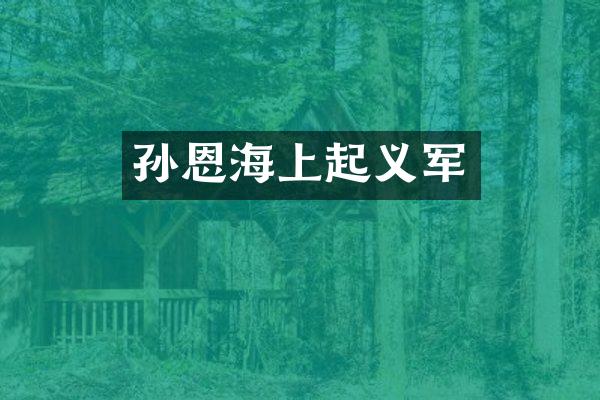 孙恩海上起义军