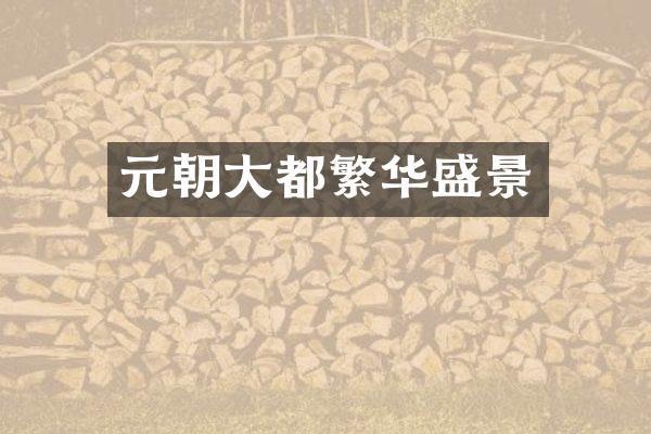 元朝大都繁华盛景