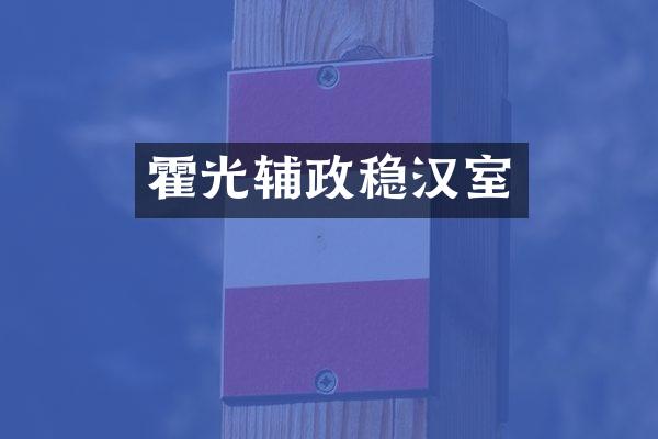 霍光辅政稳汉室
