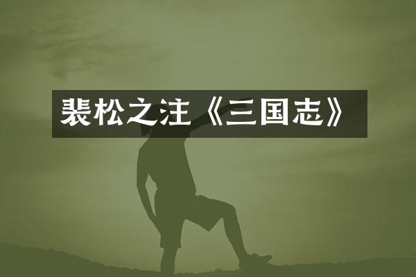 裴松之注《三国志》