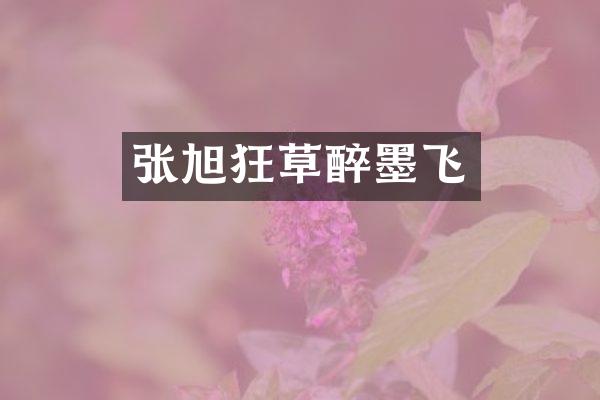 张旭狂草醉墨飞