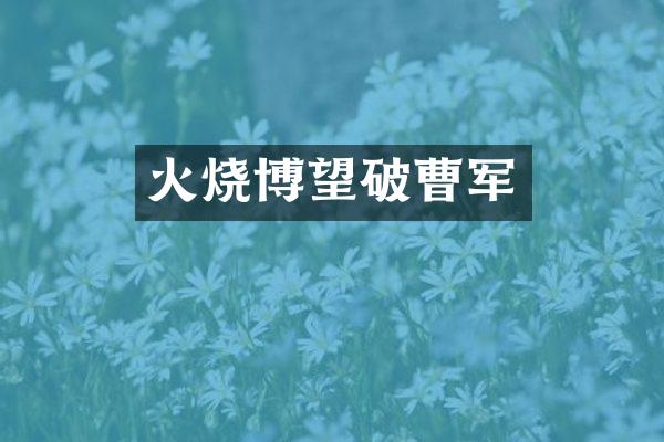 火烧博望破曹军