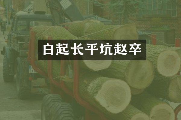 白起长平坑赵卒