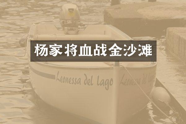 杨家将血战金沙滩